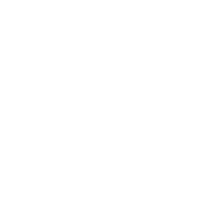 Lion Games